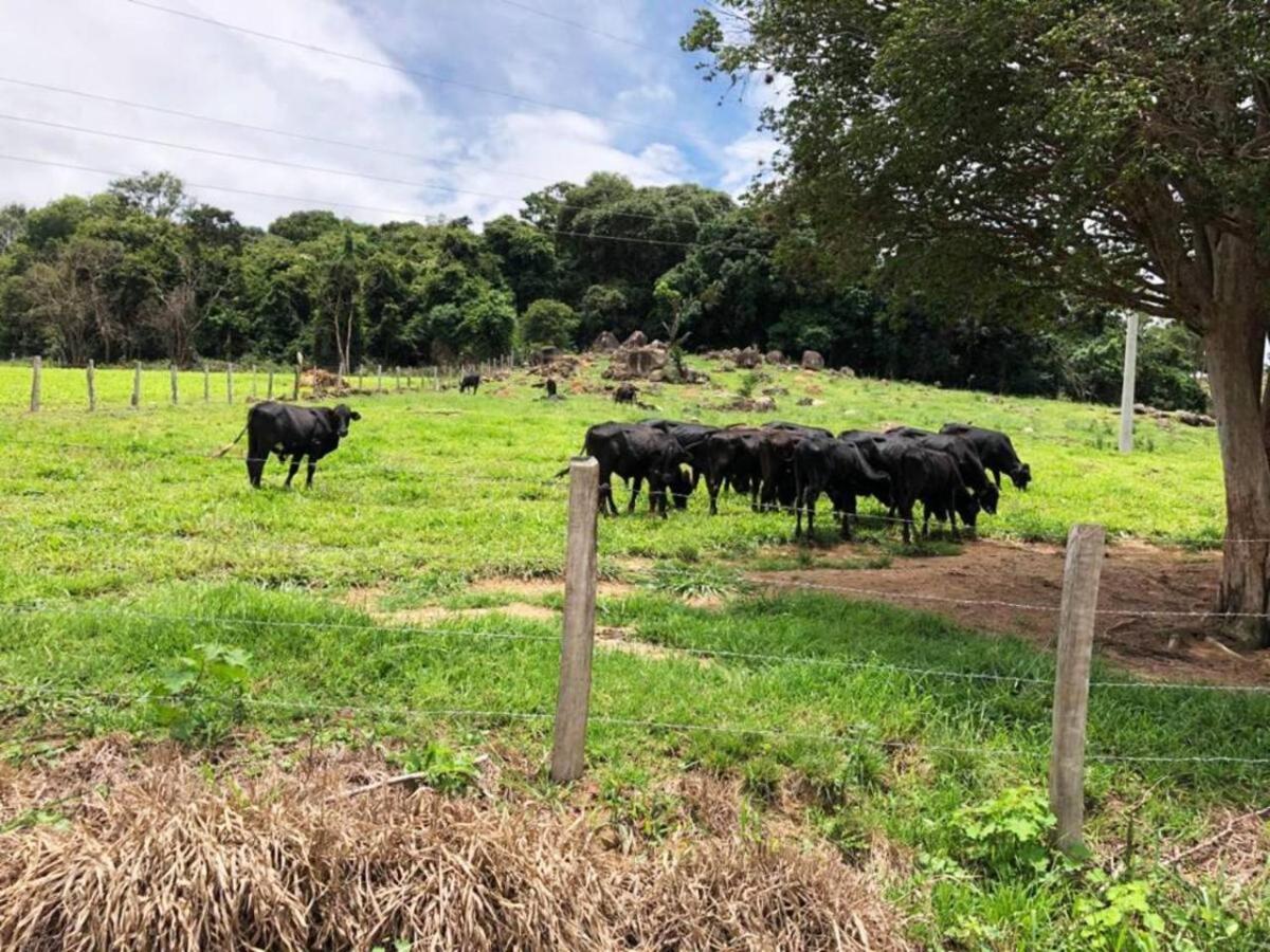 Sitio No Interior De Sp Para Curtir A Natureza アグアス・ダ・プラタ エクステリア 写真